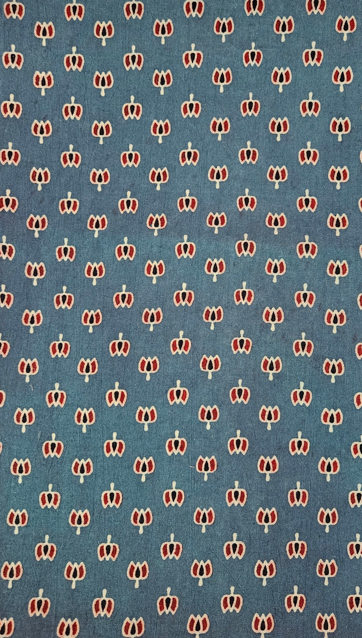 Indigo’n’maroon ajrakh print cotton suit