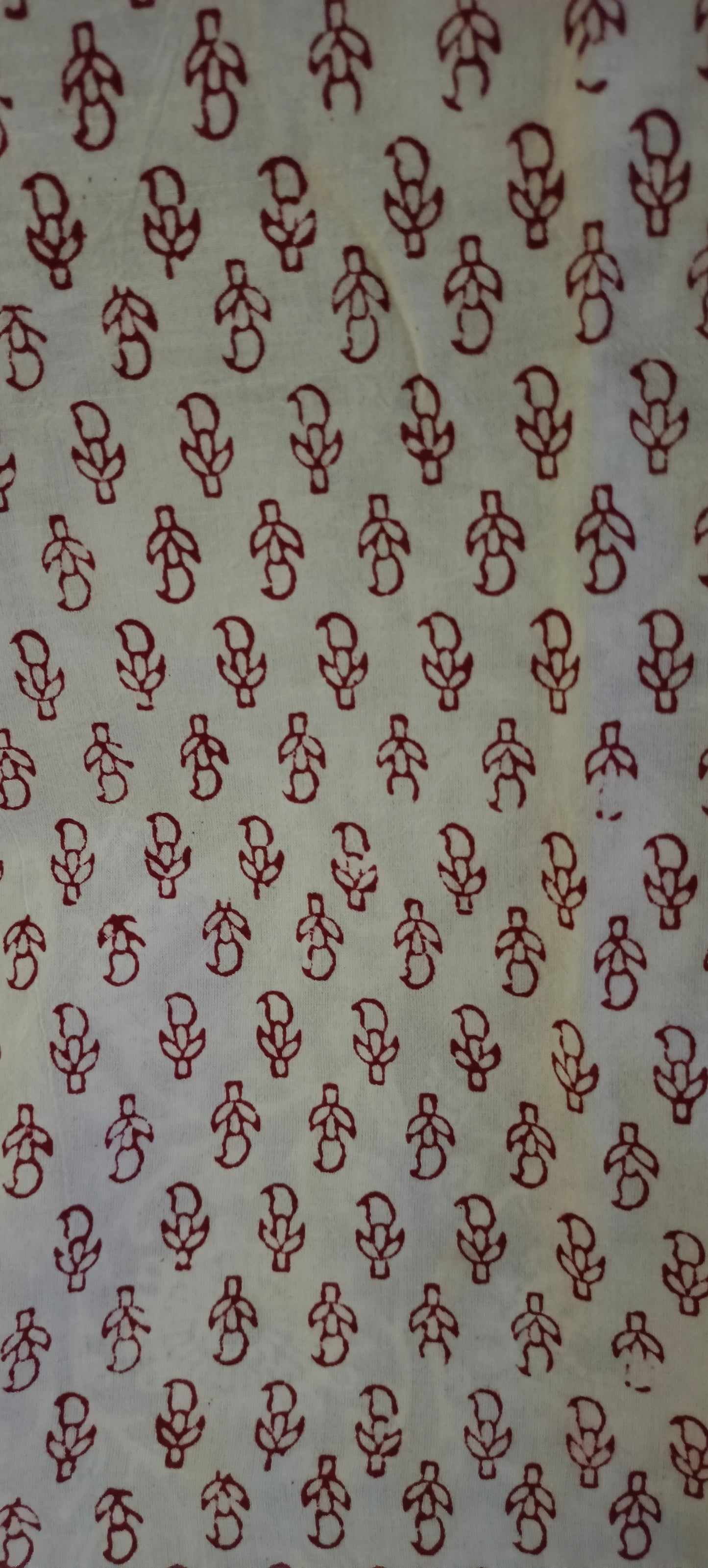 Black white'n'red bagh print  cotton kurta.